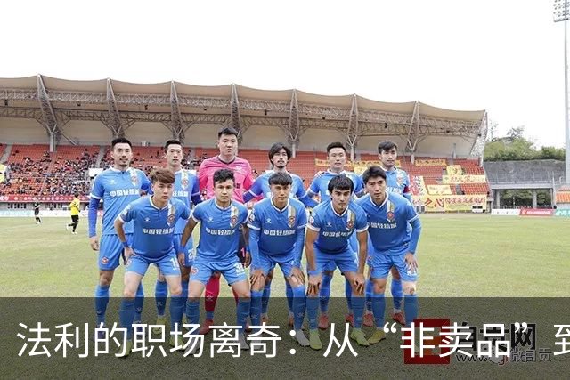 法利的职场离奇：从“非卖品”到“被炒”的成长故事